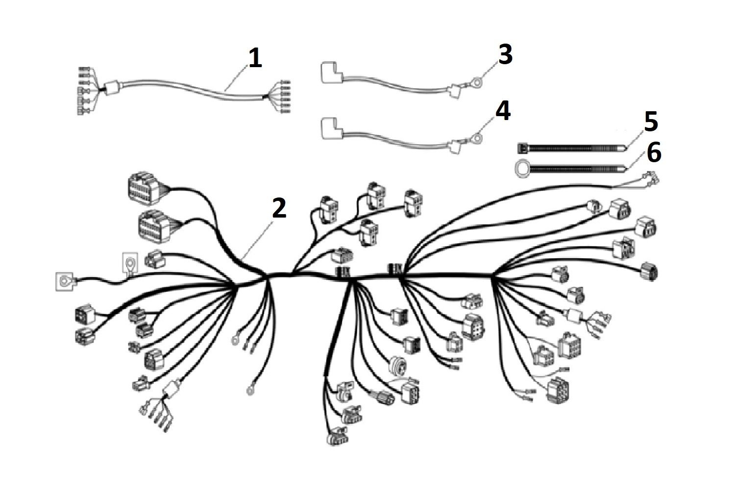 magpower_10114.jpg