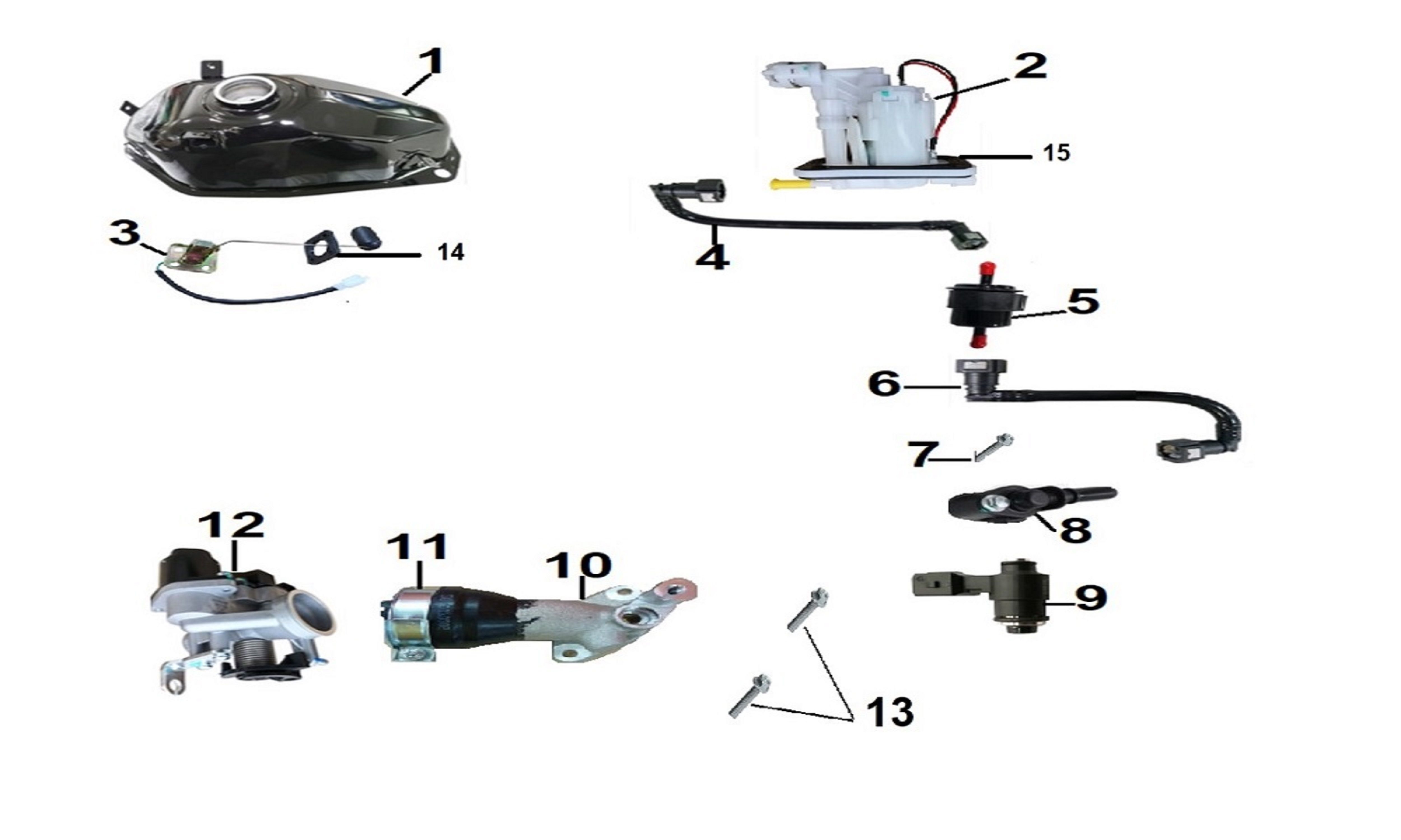 magpower_2122.jpg